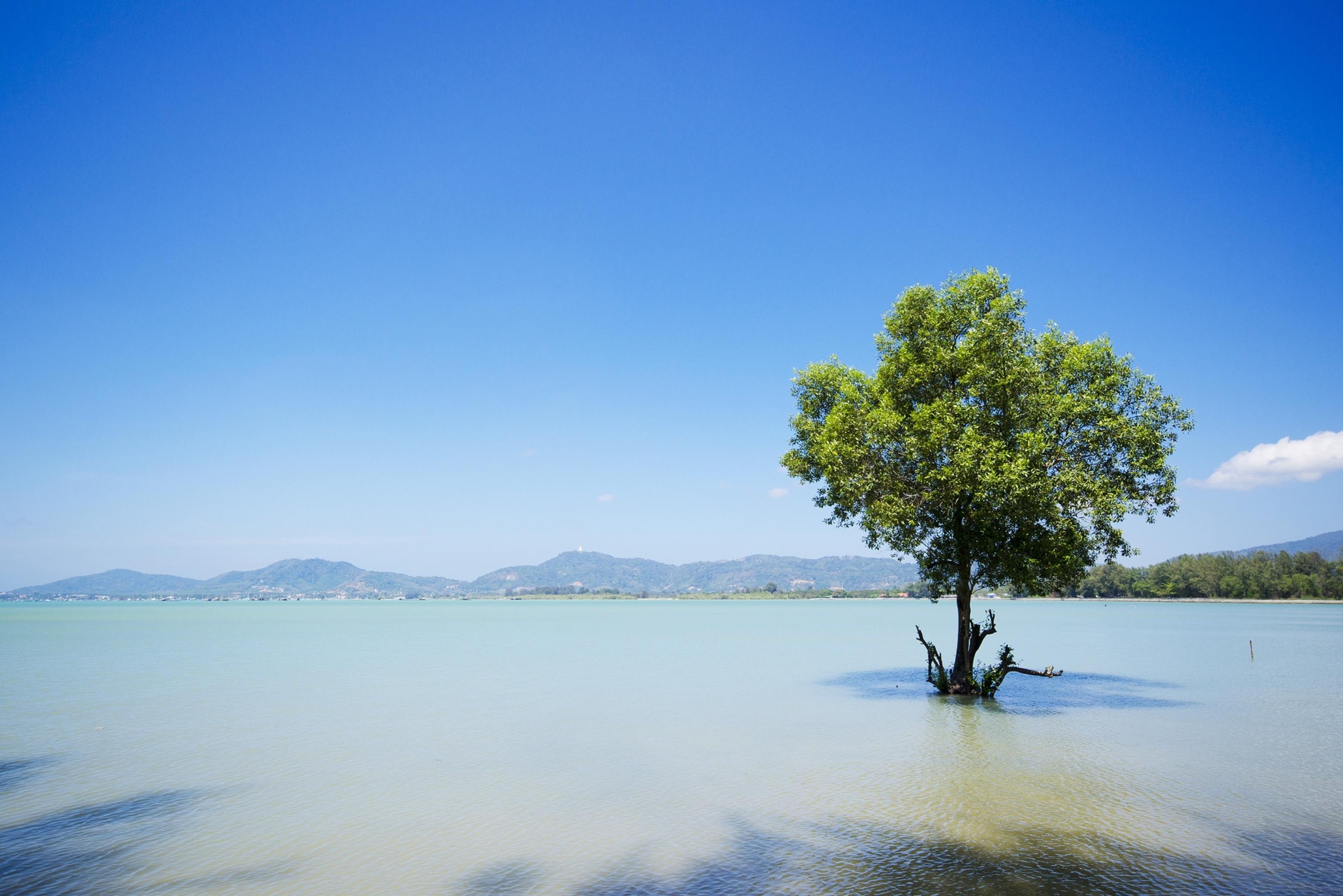 The Mangrove By Blu Monkey Phuket - Sha Extra Plus Cape Panwa Luaran gambar